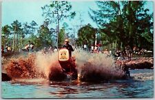 Swamp Buggie Race, Naples, Florida - Postcard picture