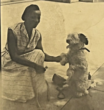 Vintage Photo African American Woman Shaking Hands with Standing Dog 1940's picture