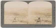 PALESTINE SV - Jerusalem - From Mount Scopus - Griffith c1905 picture
