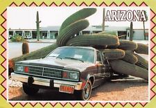 Vtg Postcard 6x4 AZ Arizona Desert Saguaro Cactus Ford Wagon Farnsworth M2 picture