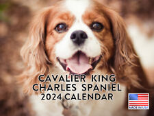 Cavalier King Charles Spaniel 2024 Wall Calendar picture