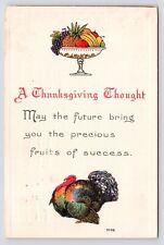 c1908~Thanksgiving Tukey & Fruits of Success~Best Wishes~Embossed~VTG Postcard picture