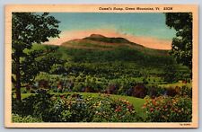 Camel's Hump, Green Mountains, Vermont Vintage Postcard picture