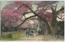 c.1910s Cherry Blossom Koganel Tokyo Japan Hand Colored FRIED MENDELSON Postcard picture