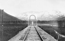 Railroad Train Tracks Kenai Peninsula Alaska AK - 8x10 Reprint picture