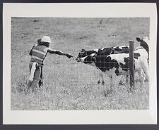 1981 North Carolina Road Gang Prisoner Feeding Cows Cattle Vintage Press Photo picture