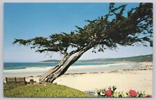 Monterey Peninsula California, Cypress Tree Beach Scenic View, Vintage Postcard picture