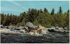 Penobscot River riding Rapids  Vintage Postcard picture