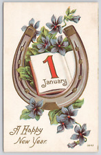 Happy New Year Greeting Horseshoe Flowers Embossed 1909 Divided Back Postcard picture