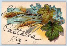 Castalia Iowa IA Postcard Greetings Flower Glitter Leaves c1910 Vintage Antique picture