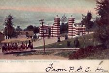 PRE-1907 ITHACA, NY CORNELL UNIVERSITY TUCK SERIES No. 2443 WHITE MEMORIAL 1908 picture
