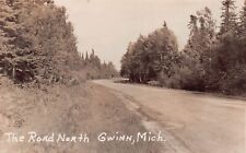 RPPC Gwinn MI Michigan UP Marquette County Country Road Hwy Photo Postcard D48 picture