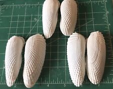 Three Pair Angel Wings Seashells 95mm Hand Picked Washed From 10,000 Islands FL picture