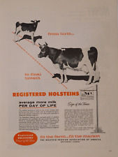 1957 Holsteins Cow Vintage Print Ad Registered Dairy Farm Milk Production Farmer picture