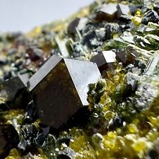 340 Gr Terminated Andradite,Vesuvianite,Diopside Crystals Cluster On Matrix @Pak picture