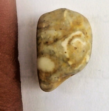 Rare marine stone shaped like a human face, natural picture