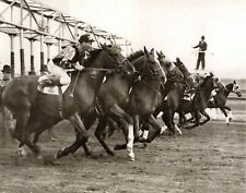 1938 New York's JAMAICA RACE TRACK 2yr Maidens at the Starting Gate PHOTO picture