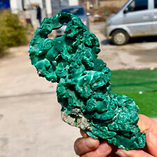 448G Natural glossy Malachite cat eye transparent cluster rough mineral sample picture