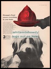 1961 BEARDED COLLIE under Firefighter's Helmet Fireman's Fund Insurance PRINT AD picture