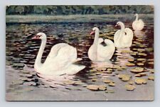 Antique Old Postcard SWANS on LILY POND BELLEFIELD ARKANSAS AR 1909 cancel picture