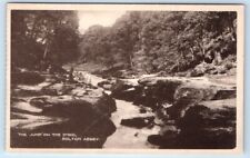 A Jump on the Strid BOLTON Abbey YORKSHIRE UK Postcard picture
