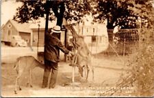RPPC Trained Deer Topsy at Baldwins Deer Park Pittsburg NH Vintage Postcard R61 picture