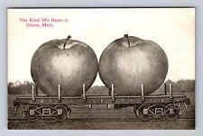 Ithaca MI-Michigan, The Kind We Raise, Giant Apples, Railroad Vintage Postcard picture