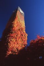 35 MM Color Slides Pro Photo Abstract Clock Tower Fall Autumn Leaves 1996 #22 picture