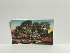 Postcard The Great Oak Middleton Place Garden Charleston SC A32 picture
