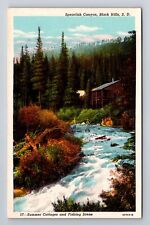Black Hill SC-South Dakota, Spearfish Canyon, Antique Vintage Souvenir Postcard picture