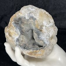 4-1/4” Dark Blue Botryoidal Chalcedony Crystal Quartz 1.6Lb Natural Agate Geode picture