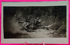 1800-1900s WW1? Dead Horse With Destroyed Carriage Postal Card NP picture