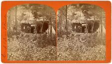 FLORIDA SV - Camping Scene in Forest - 1880s RARE picture