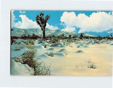 Postcard The High Desert In Winter the West USA picture