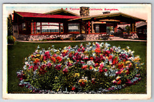c1920s Typical California Bungalow Home Flowers Antique Postcard picture