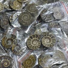 100 Pairs of Split Ammonite crystal Specimen Shell Healing Madagascar picture