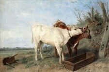 Oil painting Ready-for-Beakfast-Richard-Ansdell-Oil cows Ready-for-Beakfast- picture