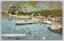 Avalon Santa Catalina Island Sailboats Wharf Aerial View 1910 Postcard - Posted picture