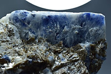 Natural Unique Fluorescent Two Long Sapphire Crystal On Mica Matrix 642 gram picture
