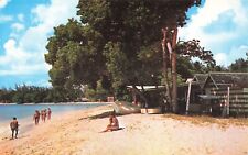 Postcard West Indies Barbados St. James Surf Side Holetown Beach Sunbathers picture