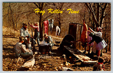 c1960s Hog Killin' Time Ozarks Alabama Butcher Vintage Postcard picture