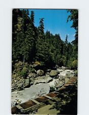 Postcard Granite Falls Fish Ladder Washington USA picture