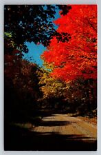 Autumn Glory Scene Vintage Posted 1966 Manitowish Waters Wisconsin Postcard picture