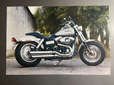 2008 Harley Davidson FXDF Fat Boy Motorcycle Print - RARE Awesome Frameable picture