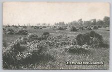 1914 Postcard A Heavy Oat Crop Minnesota picture