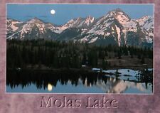 Postcard Molas Lake Colorado Posted 1995 picture