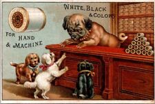 J P Coats Anthropomorphic Dog Store Counter Customers Thread Shop Keeper B HQV1 picture