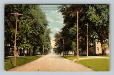 Litchfield IL, East Union Avenue, Illinois c1911 Vintage Postcard picture