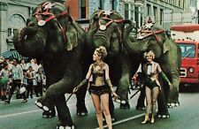 Elephants on Parade in Circus City Festival, Peru, Indiana IN - c1970 VTG PC picture