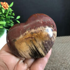 194g NATURAL PRETTY Petrified Wood   Crystal HEART Healing mh1856 picture